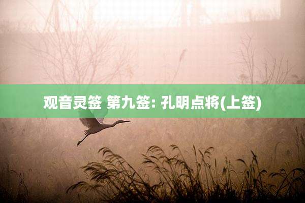 观音灵签 第九签: 孔明点将(上签)