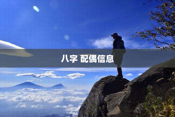 八字 配偶信息