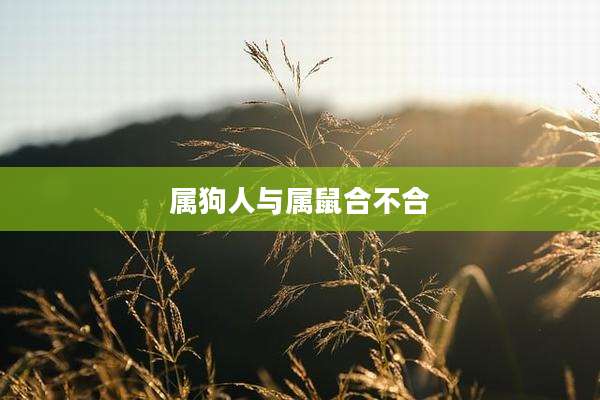 属狗人与属鼠合不合