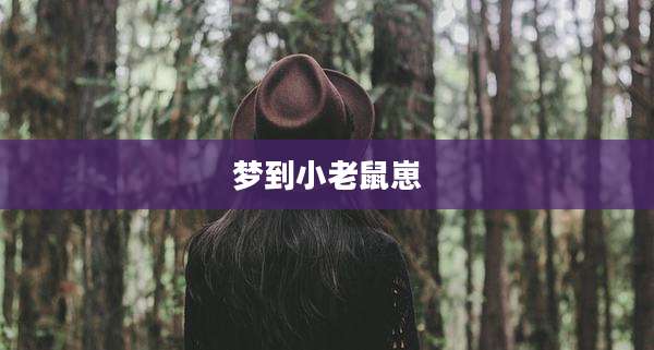 梦到小老鼠崽