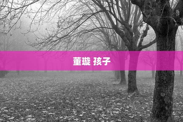 董璇 孩子