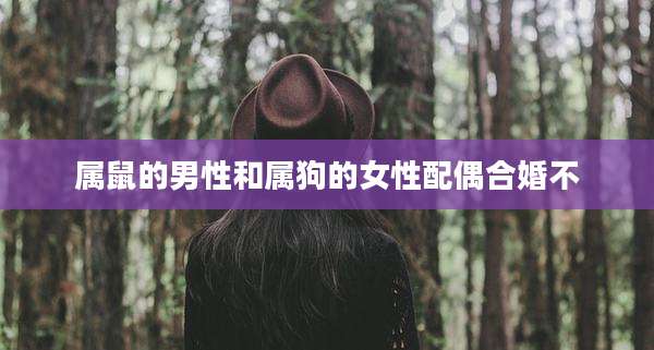 属鼠的男性和属狗的女性配偶合婚不