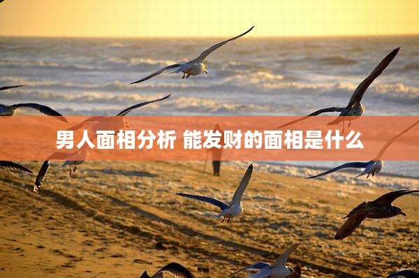 男人面相分析 能发财的面相是什么