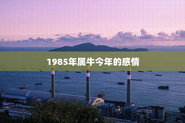 1985年属牛今年的感情
