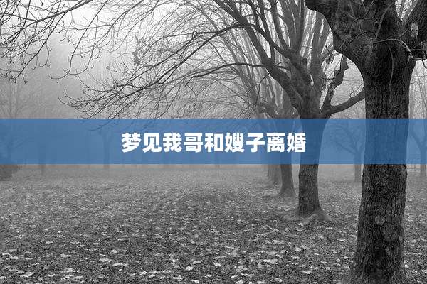 梦见我哥和嫂子离婚