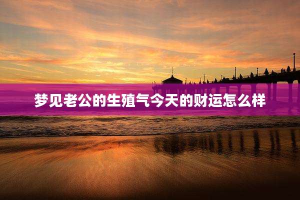 梦见老公的生殖气今天的财运怎么样