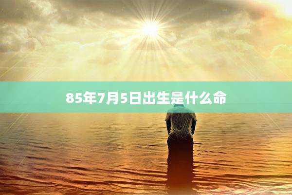 85年7月5日出生是什么命