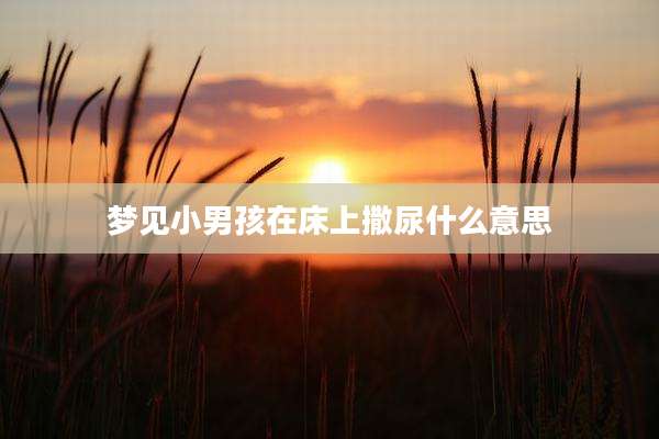 梦见小男孩在床上撒尿什么意思