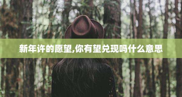 新年许的愿望,你有望兑现吗什么意思