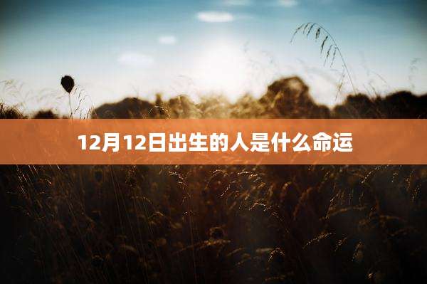 12月12日出生的人是什么命运