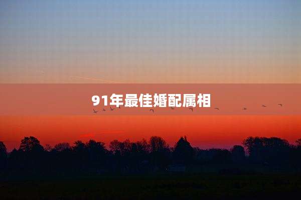 91年最佳婚配属相