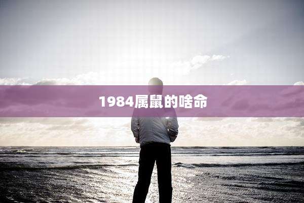 1984属鼠的啥命