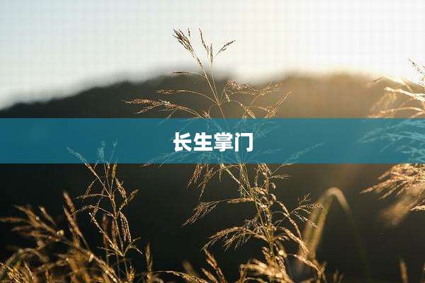 长生掌门