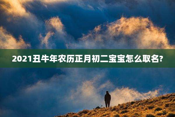 2021丑牛年农历正月初二宝宝怎么取名?