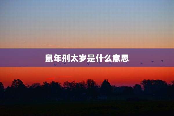 鼠年刑太岁是什么意思