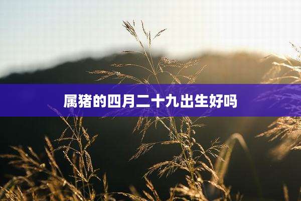 属猪的四月二十九出生好吗