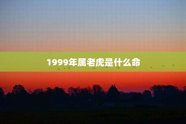 1999年属老虎是什么命