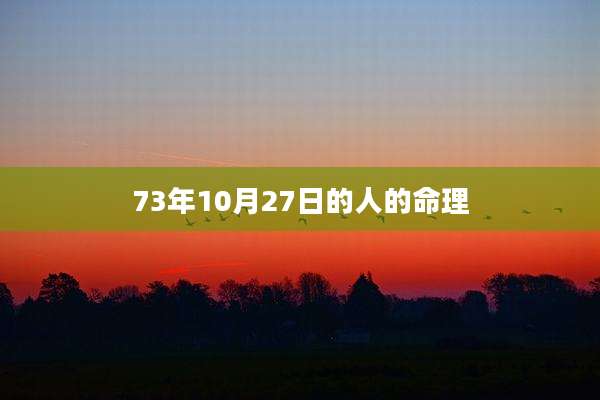 73年10月27日的人的命理