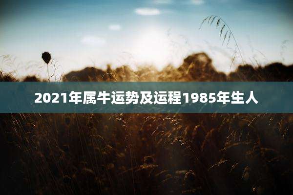 2021年属牛运势及运程1985年生人