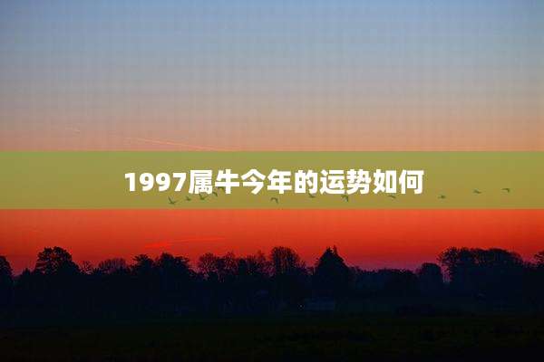 1997属牛今年的运势如何