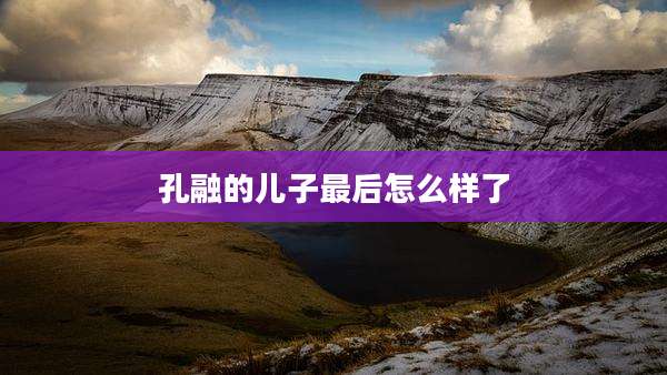 孔融的儿子最后怎么样了