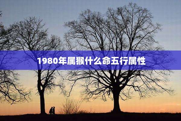 1980年属猴什么命五行属性
