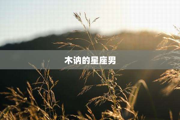 木讷的星座男