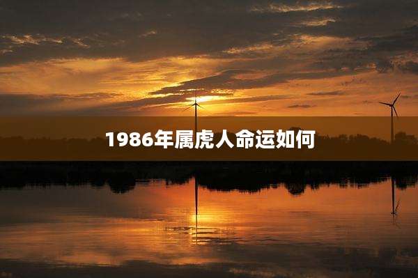 1986年属虎人命运如何