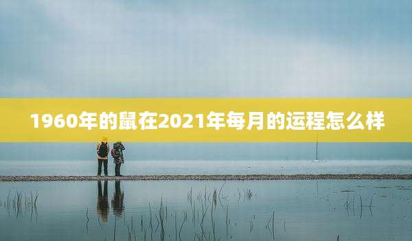 1960年的鼠在2021年每月的运程怎么样