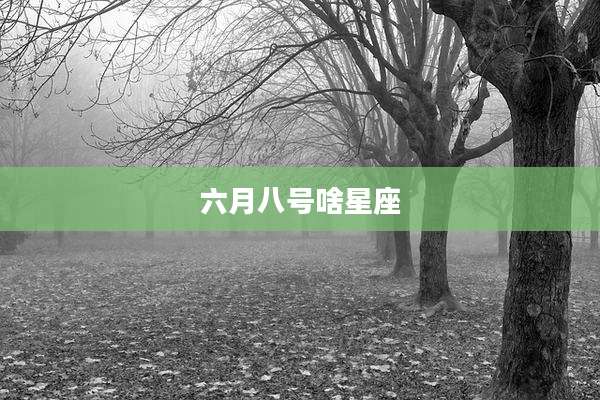 六月八号啥星座