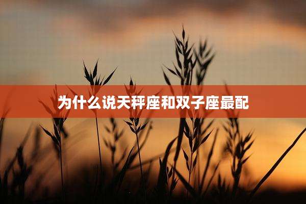 为什么说天秤座和双子座最配