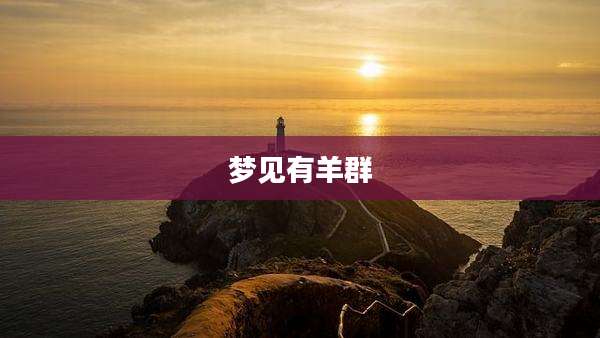 梦见有羊群