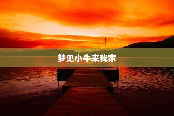 梦见小牛来我家