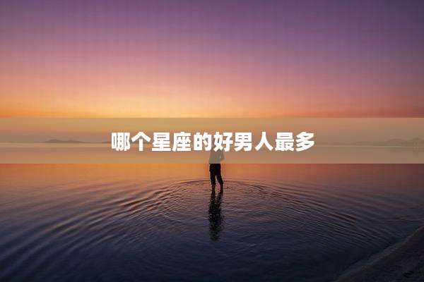 哪个星座的好男人最多