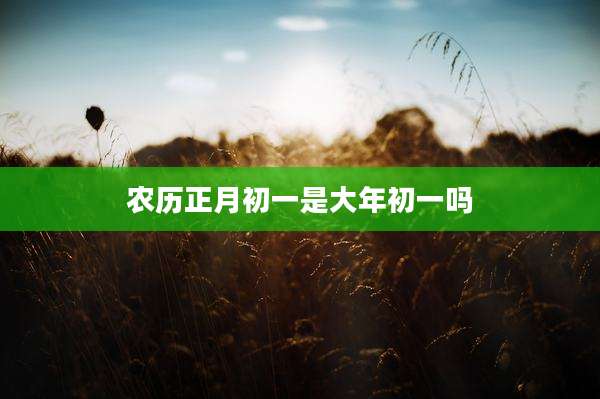 农历正月初一是大年初一吗
