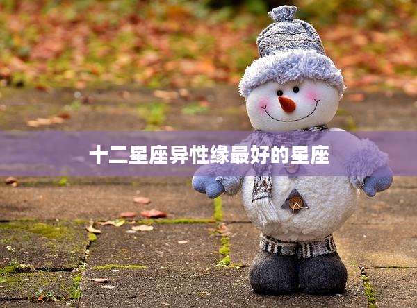 十二星座异性缘最好的星座