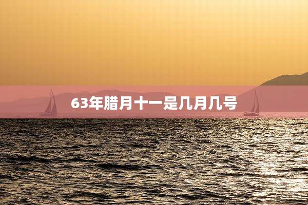 63年腊月十一是几月几号