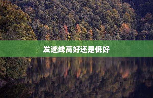 发迹线高好还是低好