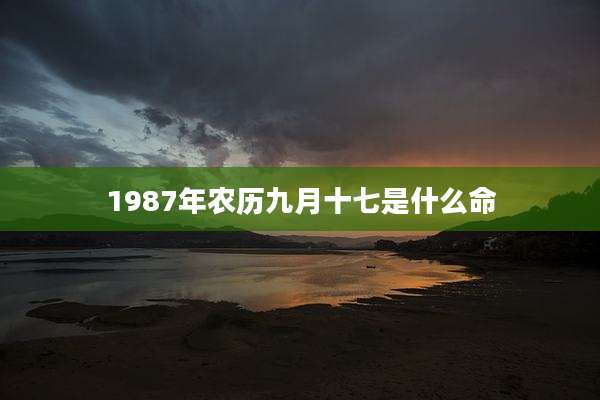 1987年农历九月十七是什么命