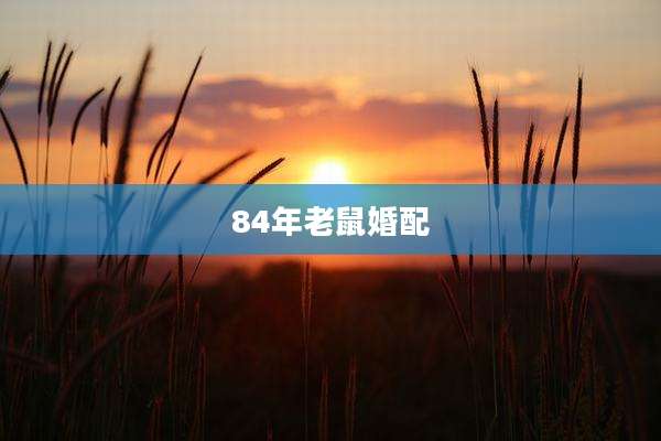 84年老鼠婚配