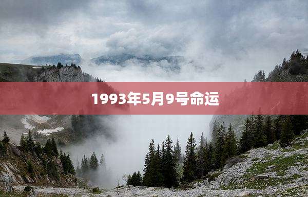 1993年5月9号命运