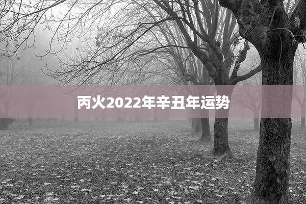 丙火2022年辛丑年运势