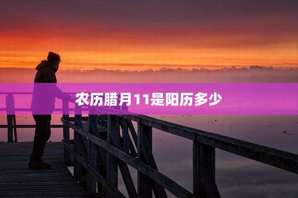 农历腊月11是阳历多少