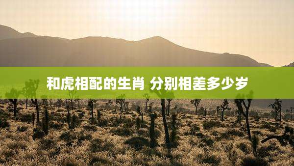 和虎相配的生肖 分别相差多少岁