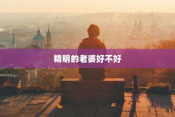 精明的老婆好不好