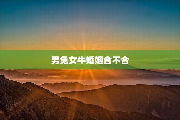 男兔女牛婚姻合不合