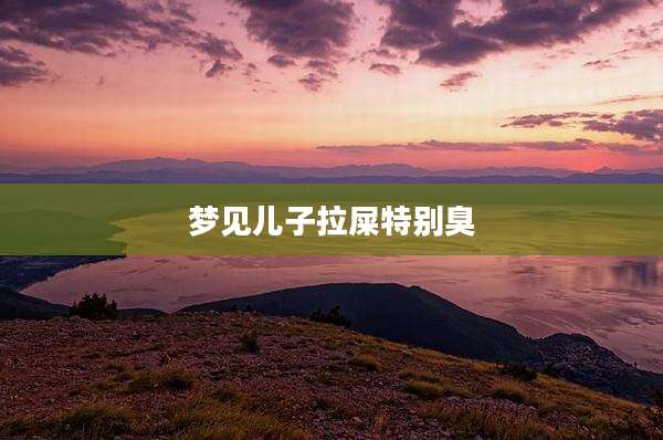 梦见儿子拉屎特别臭