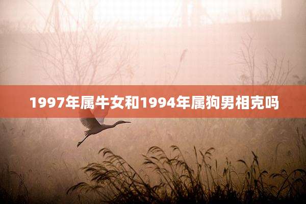 1997年属牛女和1994年属狗男相克吗