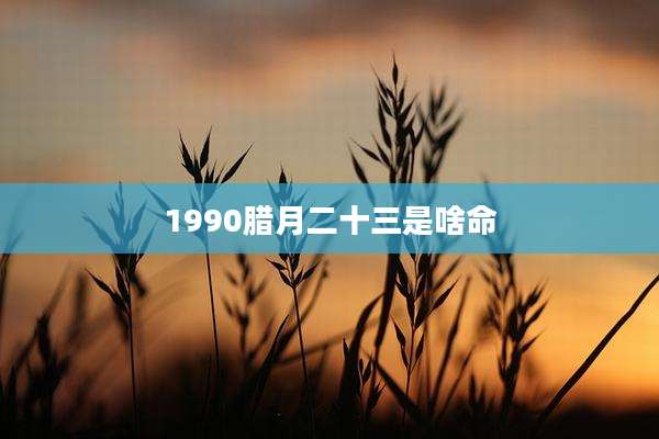 1990腊月二十三是啥命