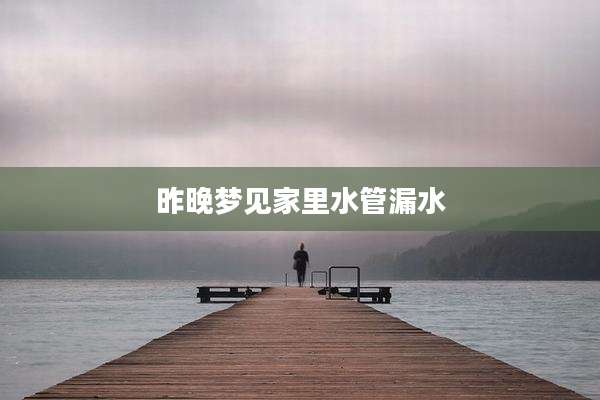 昨晚梦见家里水管漏水